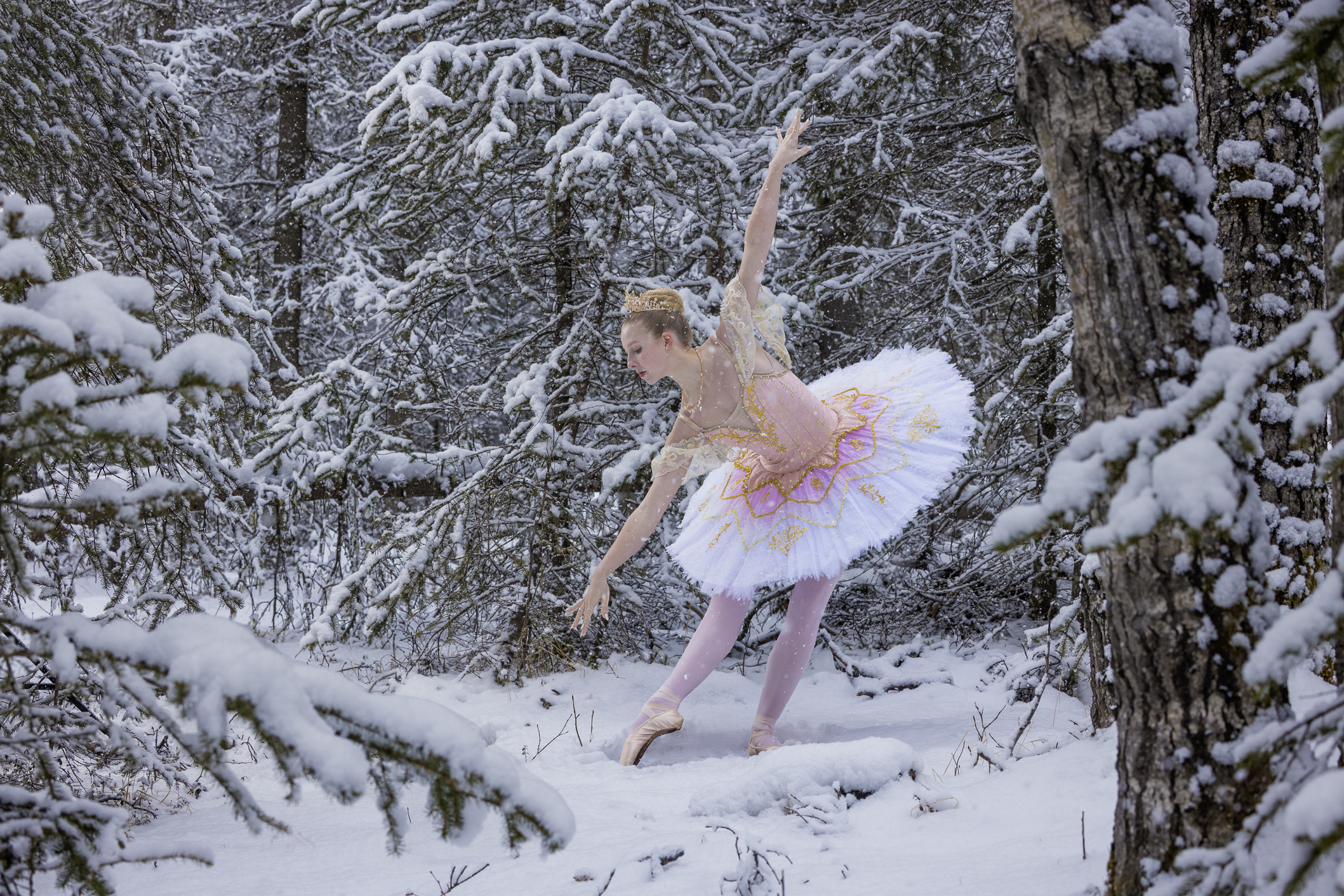 Falyn Sugar Plum-1400website