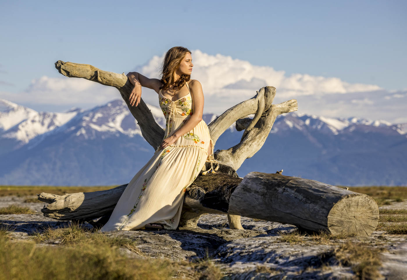 Giavannia Concept-2360 Giavannia Concept-2360