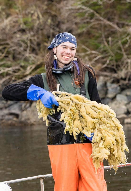 Herring Egg Harvest – Kathy Doty Herring Egg Harvest – Kathy Doty