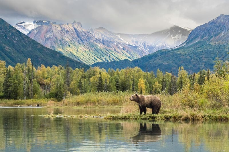 Time to Reflect – Kathy Doty Time to Reflect – Kathy Doty